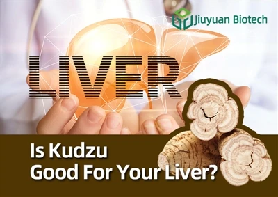 Je kudzu dober za vaša jetra?