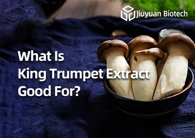 Za kaj je King Trumpet Extract dober?