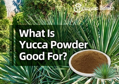 Za kaj je dober prašek Yucca?