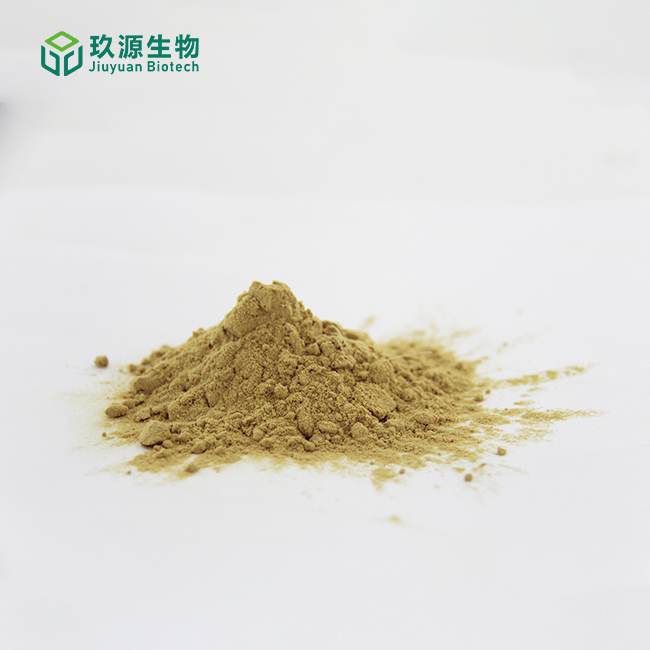 Astragalus Extract 1